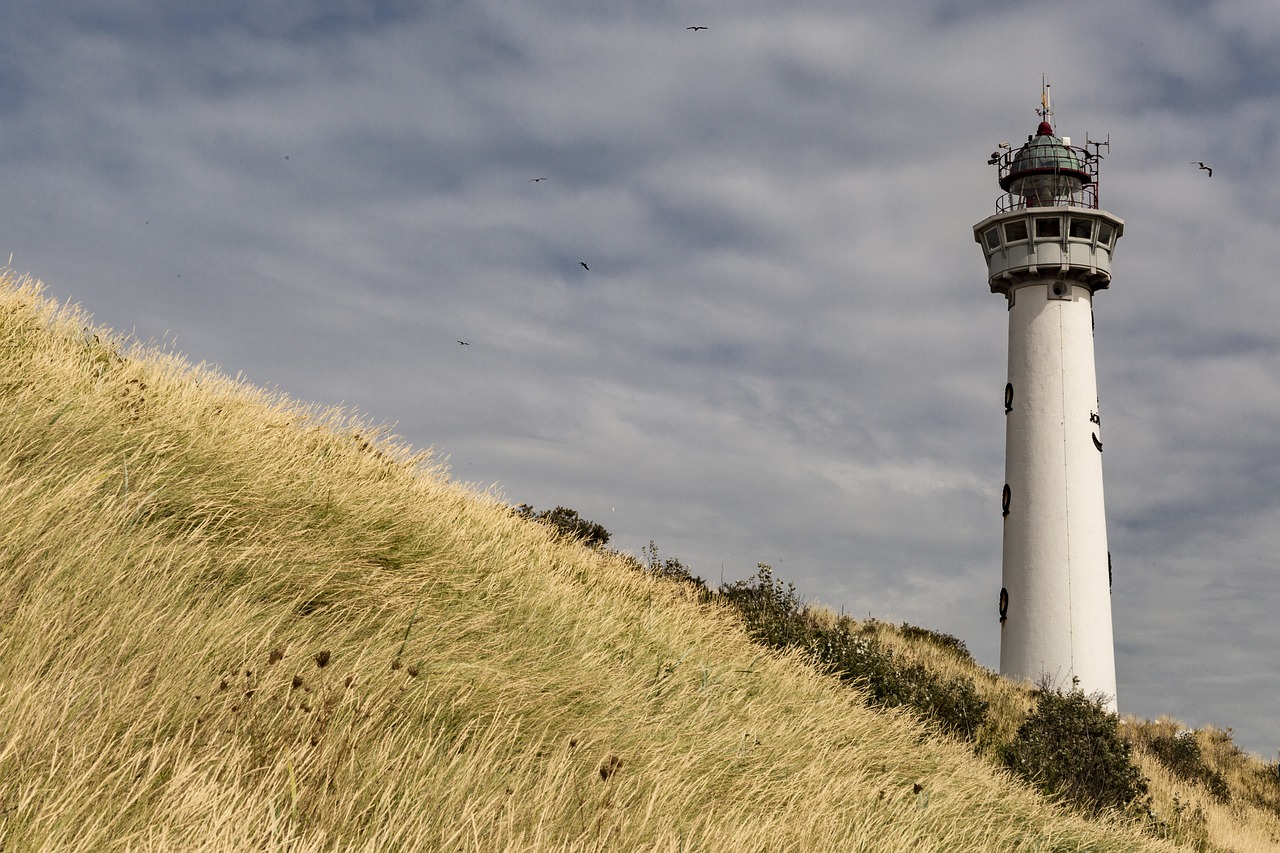 lighthouse, netherlands, sea-5031977.jpg